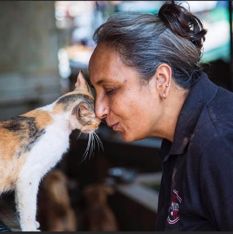 Stray Animal Crisis Is Not Presence of Dogs. It Is Our Lack of Compassion.